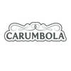 Carumbola
