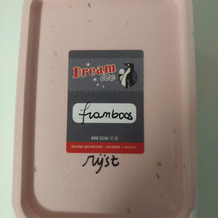 Lactosevrij/vegan rijst ijs framboos