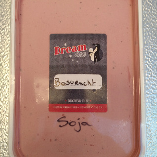 Lactosevrij/vegan soja ijs bosvruchten
