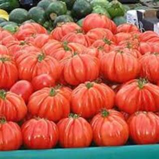 Tomaten - coeur de boeuf