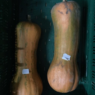 Pompoen - flespompoen