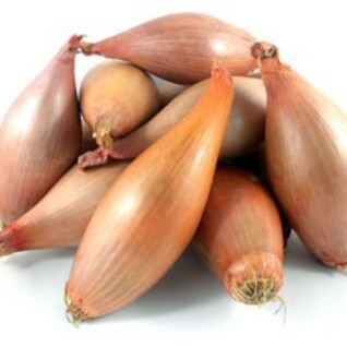 Echalions - Grote langwerpige sjalotten