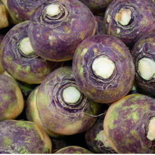 Rutabaga - Koolraap