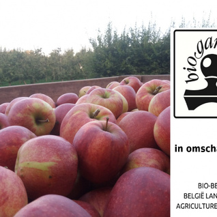 Appel (in omschakeling bio): Jonagold