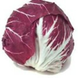 Radicchio - Roodlof