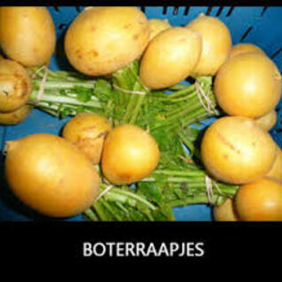 Boterraapjes