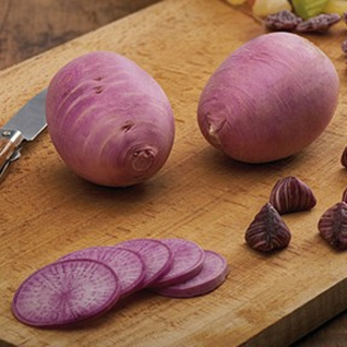 Radijs groot - Paarse rammenas