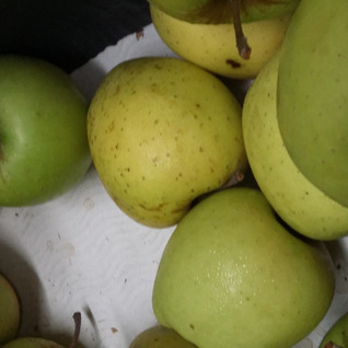 Appelen Golden Delicious
