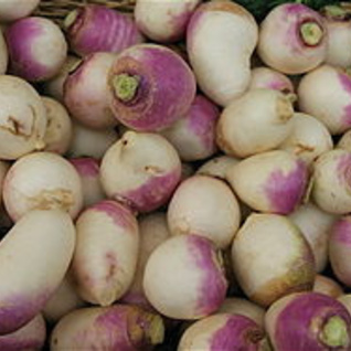Raapjes