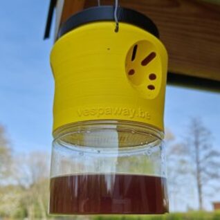 SuperSelect: val voor de Aziatische hoornaar