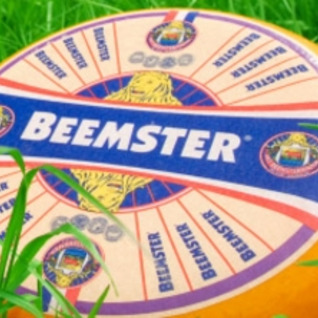 JONGE BEEMSTERKAAS "lactosevrij"