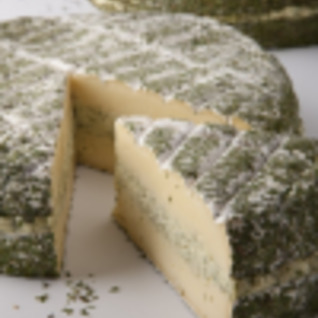 DAMSE BRIE BLOEMEN