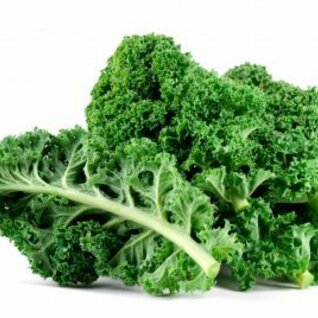 Kool - boerenkool bio