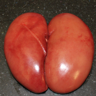 Varkensniertjes