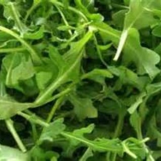 Rucola