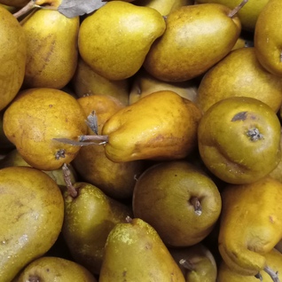 Peren Velvetine BE BIO 02