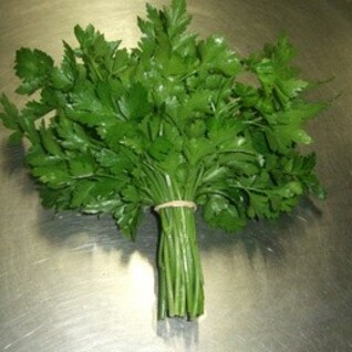 Peterselie - Plat