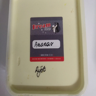 Lactosevrij/vegan rijst ijs ananas