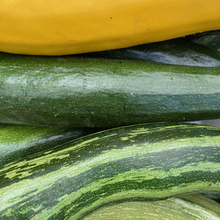 courgette
