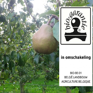 Peren (in omschakeling bio): doyenne