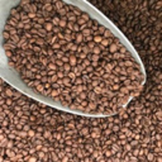 Café ligéro (gemalen/ moulu) - Rainforest Alliance label