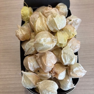 Physalis (ananaskers)