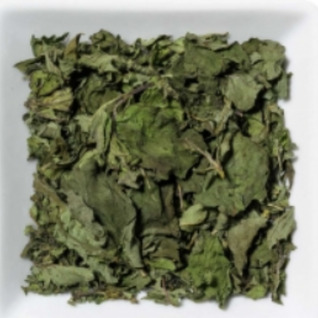 Pepermunt/menthe poivrée/, volle blaadjes/feuilles pleines