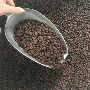 Mokka Royal Bonen/grains - Rainforest Alliance label