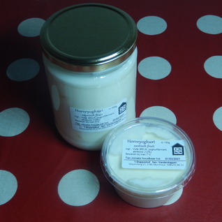 Volle fruityoghurt exotisch fruit