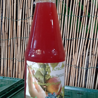 Appelsap met rode biet