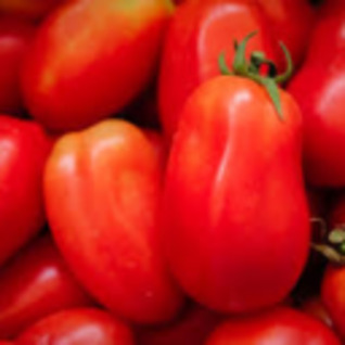 Tomaten Roma