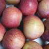 Appelen sterappel