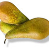 Peren Conference klasse 2 - BE-BIO-02