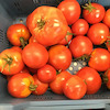 Tomaten, losse ronde